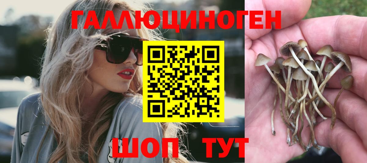 Псилоцибиновые грибы Psilocybe  Вход с VPN  Ачхой-Мартан  Галлюциногенные грибы ЛСД 